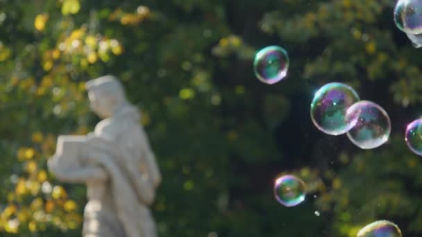 Slow Motion Shot Colorful Soap Bubbles Traveling Wind Child Hand — Stock Video