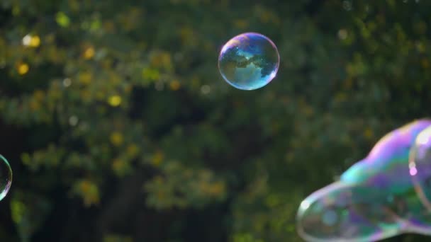 Slow Motion Shot Glittering Soap Bubbles Autumnal City Park Child — Stock Video