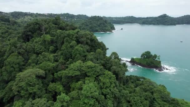 Dolly Aérea Orilla Colina Cubierta Bosque Lluvioso Verde Denso Mar — Vídeo de stock