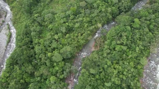 Εναέρια Αύξηση Πάνω Από Βραχώδη Ποταμό Streamig Μεταξύ Πυκνό Πράσινο — Αρχείο Βίντεο