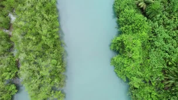 Aerial Dolly Out Turquoise Sea Shore Covered Green Tropical Vegetation — Stock Video