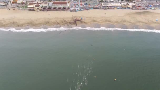 Aerial View Triathletes Swimming Out Sea First Stage Race Beach — Stock Video