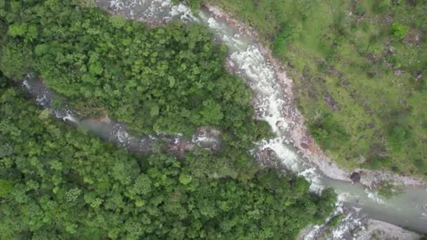 緑の草原や森の中を流れる岩の川の空中軌道を下げる 一般Viejo コスタリカ — ストック動画