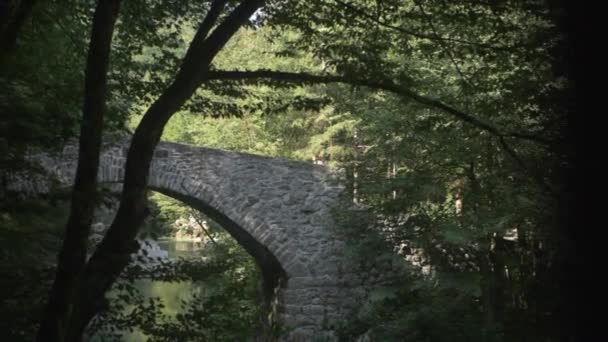 Slow Motion Sporty Man Running Old Stone Bridge Beautiful Nature — Stock Video