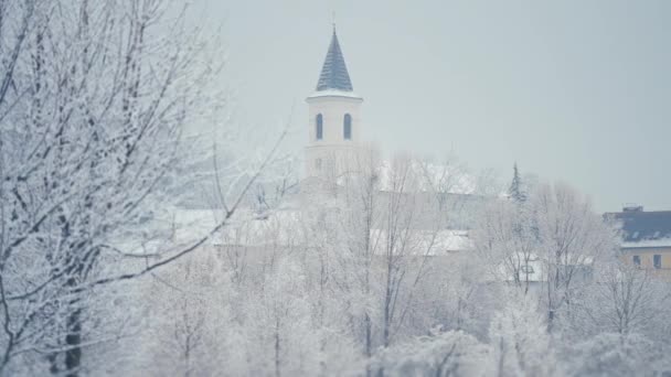 布拉格安静的街区迷人的冬季景色 小池塘岸边的白雪覆盖的树木和房屋 一个教堂在后面 慢动作 向右转 — 图库视频影像