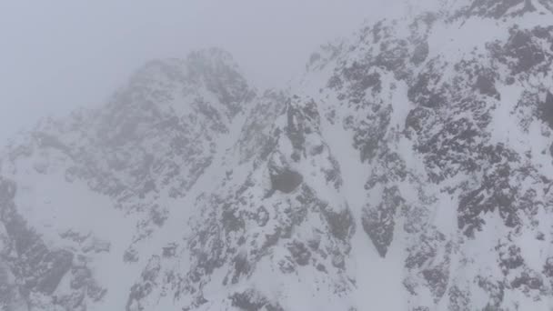 Avusturya Nın Kaunertal Şehrinde Kar Yağışı Ile Kaplı Bir Sis — Stok video