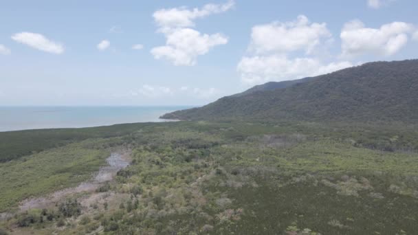 Trinity Forest Reserve Der Nähe Von Cairns Äußersten Norden Queenslands — Stockvideo