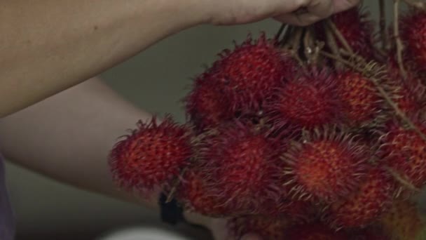 Taze Toplanmış Rambutan Lychee Den Oluşan Büyük Bir Küme Çiftçi — Stok video