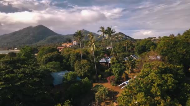 Flera Turisthus Mellan Höga Palmerna Och Annan Natur Den Thailändska — Stockvideo