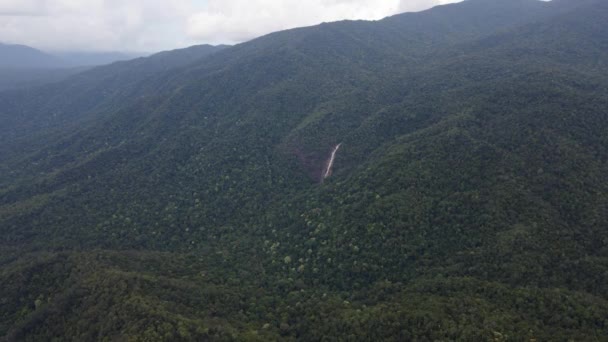 Windin Falls Fluye Través Del Denso Bosque Parque Nacional Wooroonooran — Vídeos de Stock