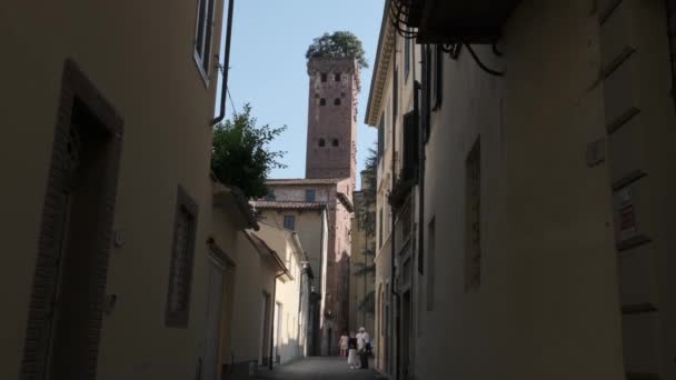 Veduta Sul Centro Storico Lucca Italia Sulla Torre Guinigi — Video Stock