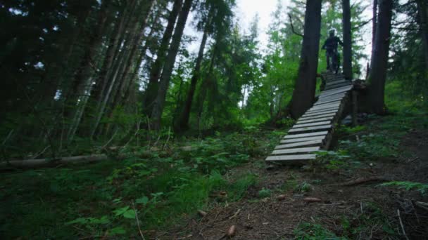 一位山地自行车手骑着马从森林里一座狭窄的技术桥上下来 — 图库视频影像