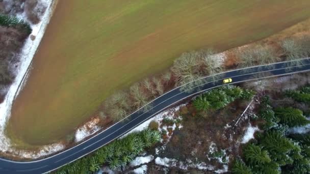 Car Alone Driving Countryside Road Surrounded Farm Fields Trees Drone — Stock Video