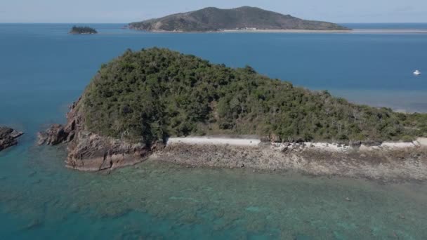Wyspa Langford Zieloną Roślinnością Skalistym Dnem Morskim Whitsunday Queensland Australii — Wideo stockowe