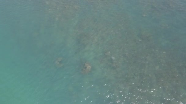 Blue Sea Rocky Seafloor Thornton Beach Στο Εθνικό Πάρκο Daintree — Αρχείο Βίντεο