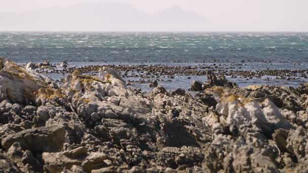 水平線の遠くの山々のかすかなシルエットと白い先端の波と青い海にギザギザの岩の露頭全体を見て — ストック動画