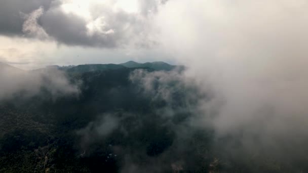 Güneşli Bir Günde Yeşil Turist Adası Koh Pha Ngan Üzerinde — Stok video