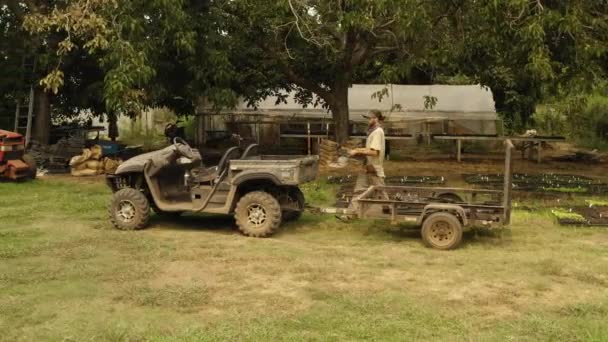 Jovem Trabalhador Agrícola Carregando Parte Trás Caminhão Com Plantas Orgânicas — Vídeo de Stock