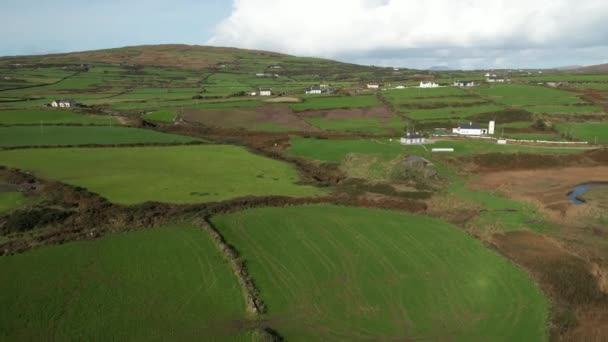 Vista Aérea Paisagem Irlandesa Campos Agrícolas Verdes Prados Por Aldeia — Vídeo de Stock