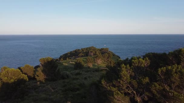 Majestuosas Imágenes Aéreas Viajando Sobre Exuberantes Tierras Verdes Hacia Solitario — Vídeos de Stock