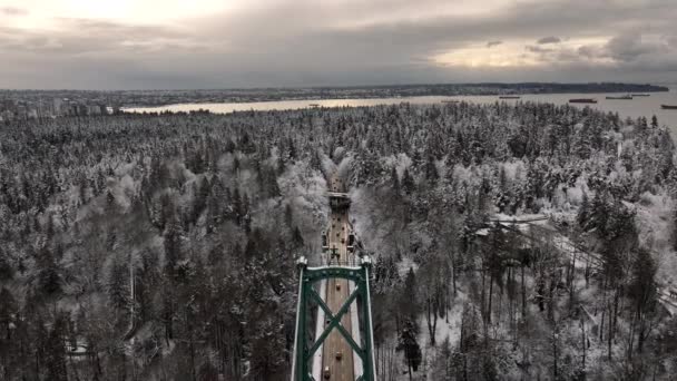 Вид Воздуха Парк Стэнли Мост Лайонс Гейт Снежный Зимний День — стоковое видео