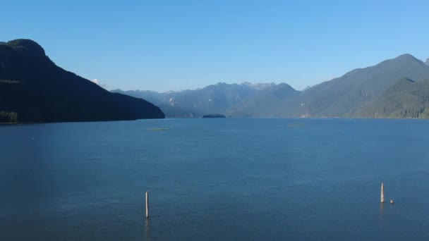 Linda Margarida Panorâmica Corte Lago Geleira Com Pano Fundo Montanha — Vídeo de Stock