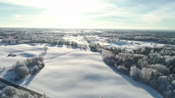 Vuelo Avión Tripulado Sobre Sendero Rodeado Bosques Campos Cubiertos Nieve — Vídeos de Stock