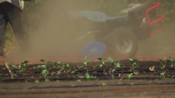 エンジン式の耕運機で農地を耕す田舎の男の閉鎖 — ストック動画