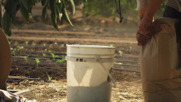 Primer Plano Cubo Blanco Suelo Donde Vierte Fertilizante Polvo Saco — Vídeos de Stock