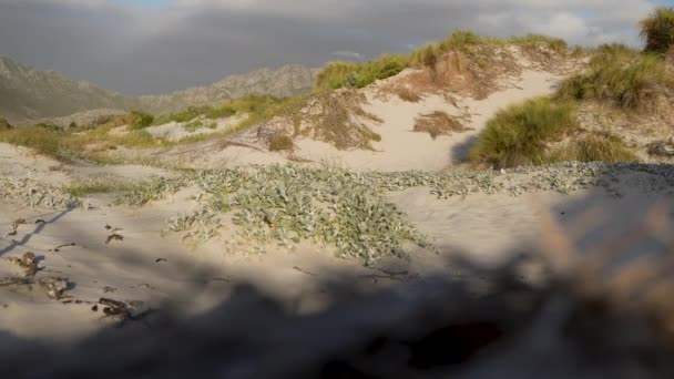 Longas Sombras Fim Dia Lançadas Sobre Belas Dunas Areia Costeira — Vídeo de Stock