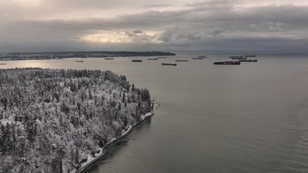 Vancouver Columbia Británica Canadá Vista Aérea Stanley Park Océano Pacífico — Vídeos de Stock