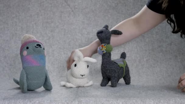 Knitted Teddy Bears Cuddly Toys — Stock Video