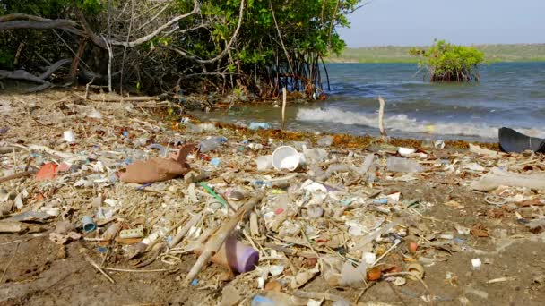 男はカリブ海のマングローブの川に沿ってゴミや汚染を敷設しました 静的中射 — ストック動画