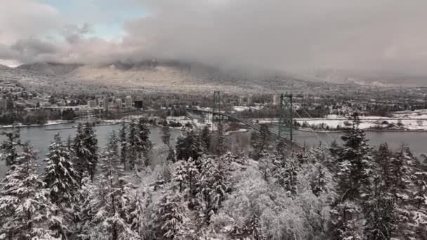 Vancouver Brit Columbia Kanada Stanley Park Oroszlánkapu Híd Észak Vancouver — Stock videók