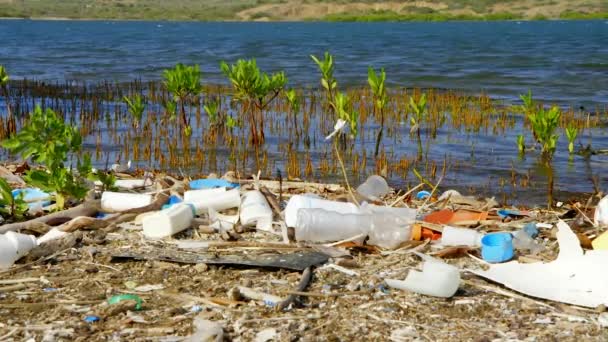 Botellas Plástico Basura Lavándose Manglares Trípode Estático Disparado — Vídeos de Stock