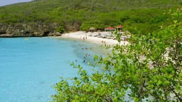 在加勒比海的热带岛屿库拉索岛上 人们在令人叹为观止的Grote Knip海滩上游泳和放松 — 图库视频影像
