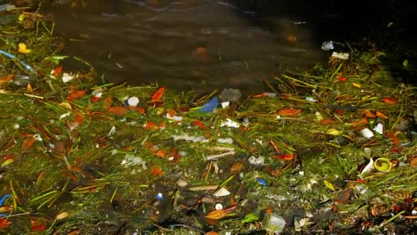 Man Made Plastic Debris Rubbish Slowly Being Washed Mangroves High — Stock Video