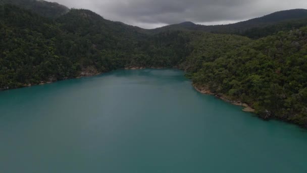 Saftiger Grüner Wald Bei Hook Island Mit Nara Inlet Whitsunday — Stockvideo