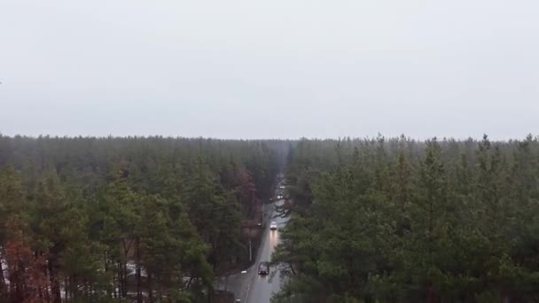 Drone Girato Sopra Foresta Strada Con Veicoli Guida — Video Stock