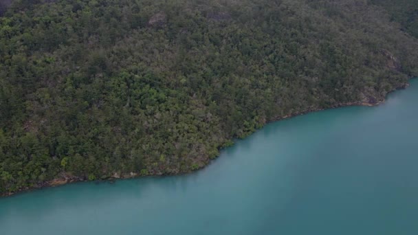 澳大利亚Qld的虎岛与奈良湾 虎岛礁在白日 — 图库视频影像