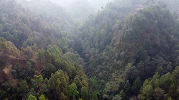 Voando Sobre Vale Coberto Árvore Nas Colinas Nepal — Vídeo de Stock