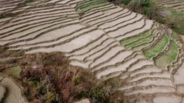 Vista Aérea Las Laderas Las Terrazas Las Estribaciones Nepal — Vídeos de Stock