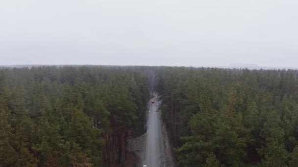 3号車で森と道をドローンで撮影 — ストック動画