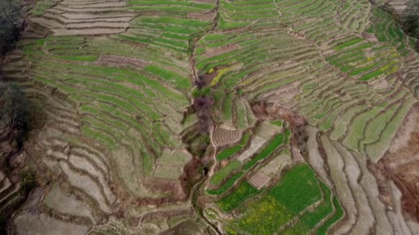 Flygfoto Över Terrasserade Sluttningar Vid Foten Nepal — Stockvideo