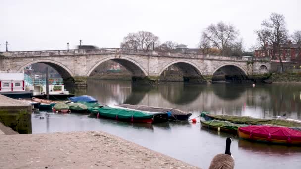 Тайм Аут Ричмондского Моста Эвенинге Лондон Великобритания — стоковое видео