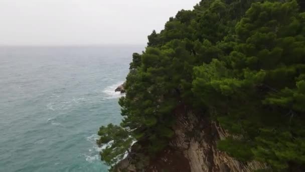 Letecký Dron Záběr Bujné Zelené Vegetace Vrcholu Útesu Výhledem Jaderské — Stock video