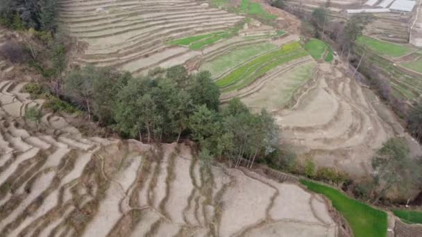 Flygfoto Över Terrasserade Sluttningar Vid Foten Nepal — Stockvideo