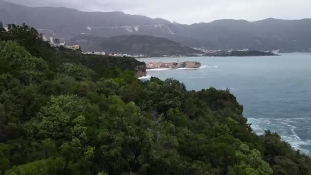 Reencaminhamento Aéreo Disparado Sobre Penhasco Com Vegetação Verde Espessa Com — Vídeo de Stock