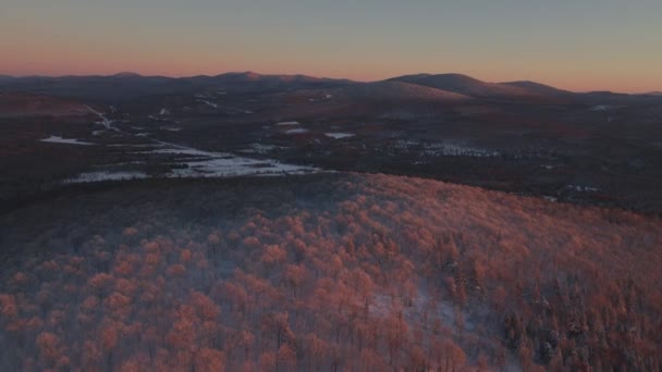 Günbatımında Güney Quebec Yoğun Kozalaklı Ormanlarla Kaplı Kış Manzarası Hava — Stok video