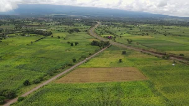 Afrika Tarım Yeşili Güney Kenya Ekili Tarlalar Hava Manzarası — Stok video